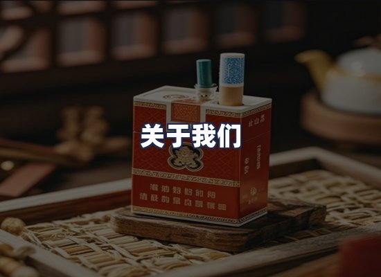 关于我们